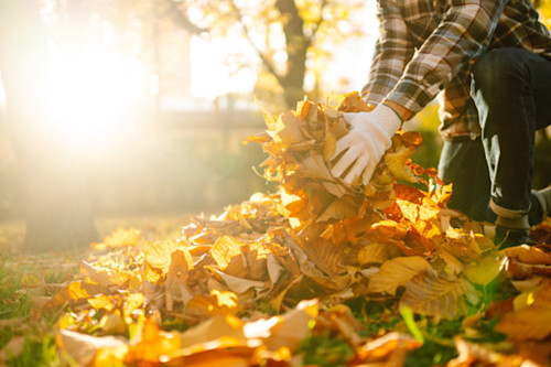 Why You Need Fall Cleaning Before Winter