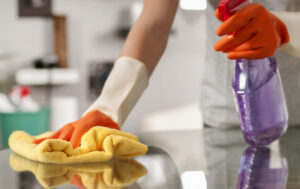 professional house cleaning service in Pasadena MD